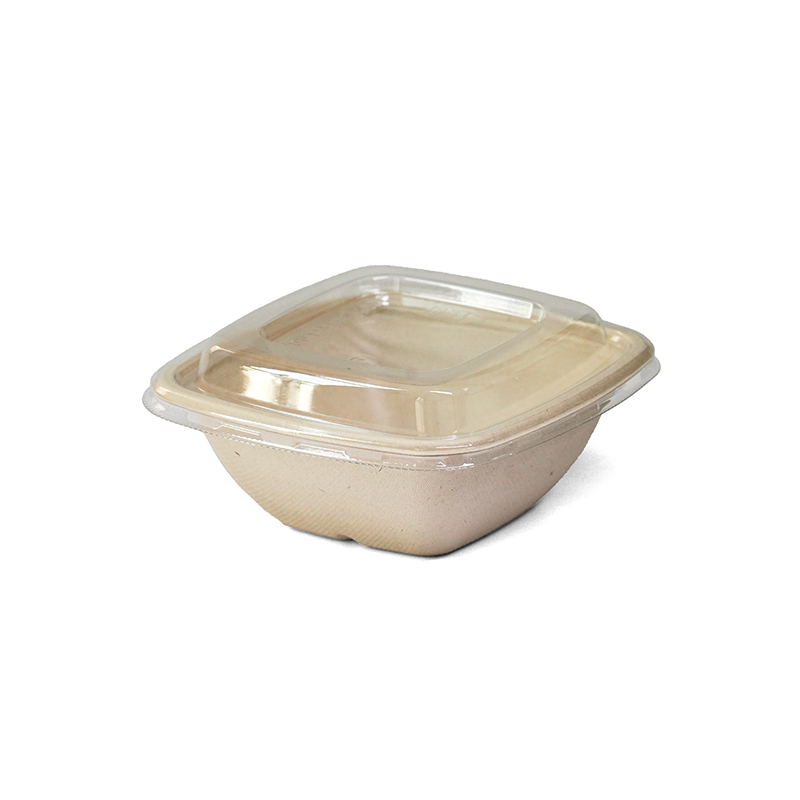 ECO Bagasse Deep Square Containers + PET Lid