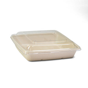 ECO Bagasse Square Containers + PET Lid