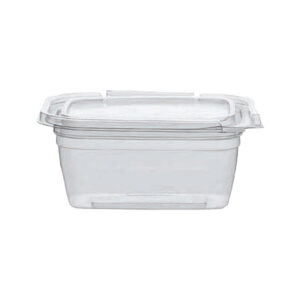 Clear Multi-Purpose Container with Hinged Lids