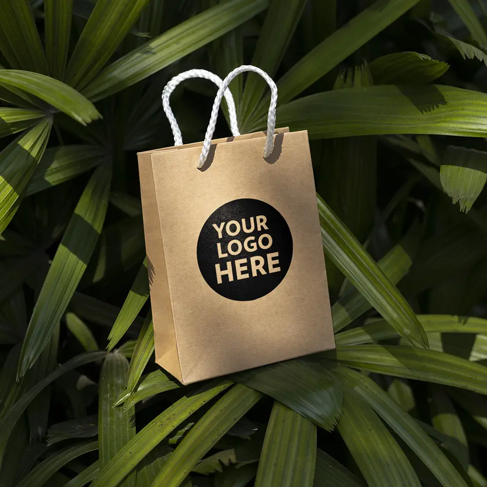 Luxury Bags & Kraft Bags